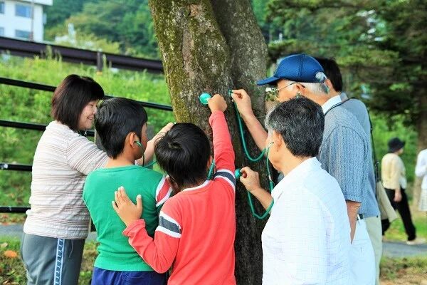 近江八幡休暇村。夏の朝のお散歩会。木の幹に聴診器をあてて樹木の中を水が流れる様子を聞いている。夏の自由研究。